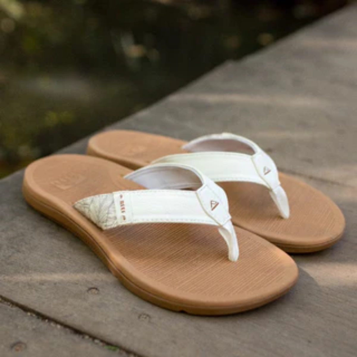 A pair of Santa Ana Women's Flip Flops in Cloud by REEF, featuring comfort technology, sits on a wooden surface.