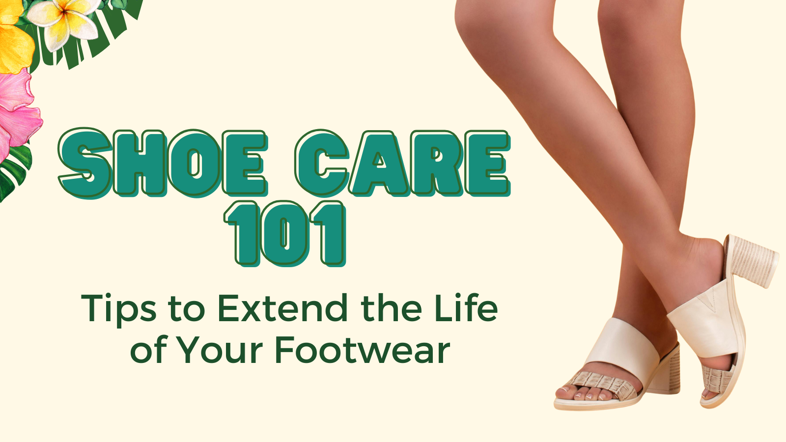 Shoe Care 101: Tips to Extend the Life of Your Footwear