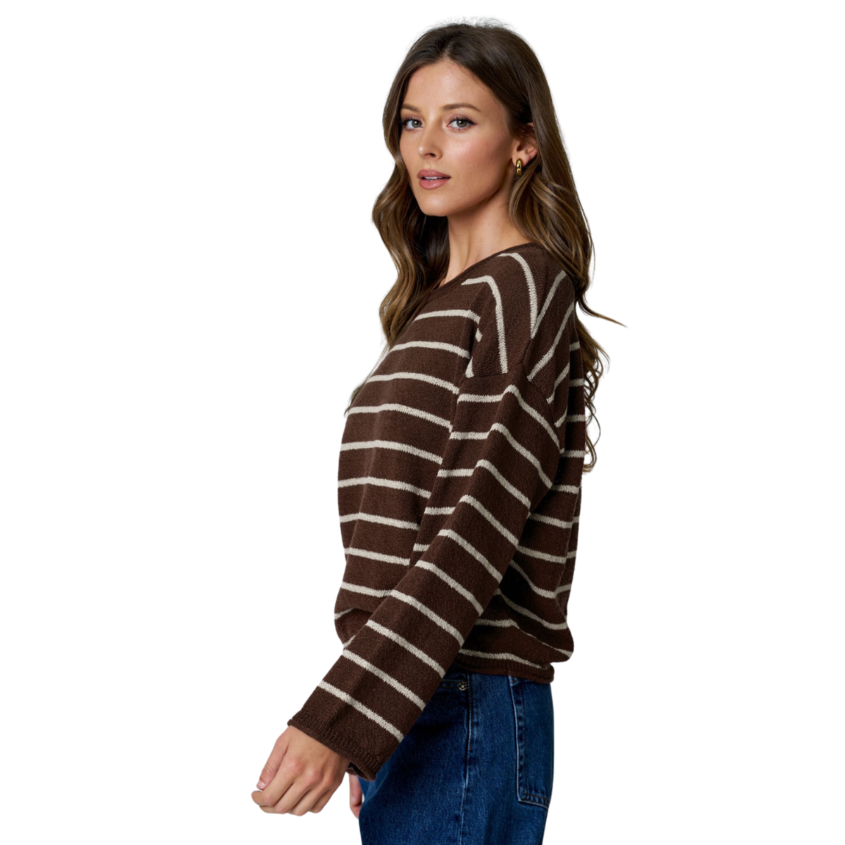 Chocolate Brown Cotton Striped Sweater Secondary image
