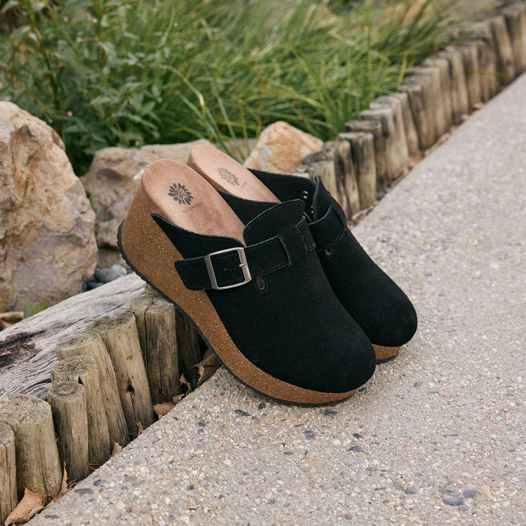 A pair of Mulani Ladies Suede Clogs by YELLOW BOX - CIT, featuring black suede uppers, cork soles, and silver buckles—ideal for everyday wear—displayed on a stone path beside a wooden border and lush green plants.