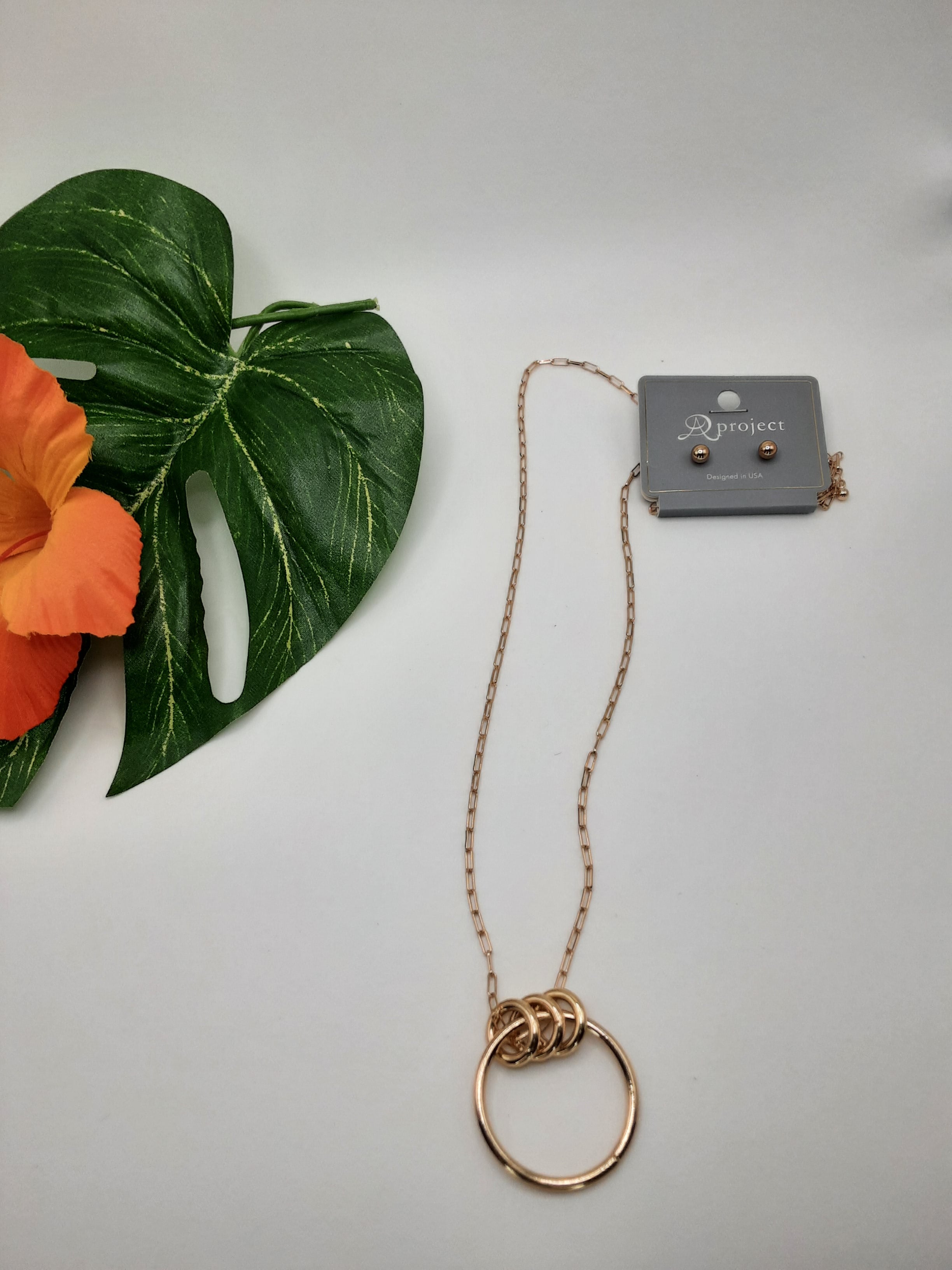 A SPECIAL EFFECTS Circle Paperclip Chain Necklace with a circular pendant lies flat on a white surface next to a green leaf and an orange flower. The necklace's packaging is visible at the top right. Main image