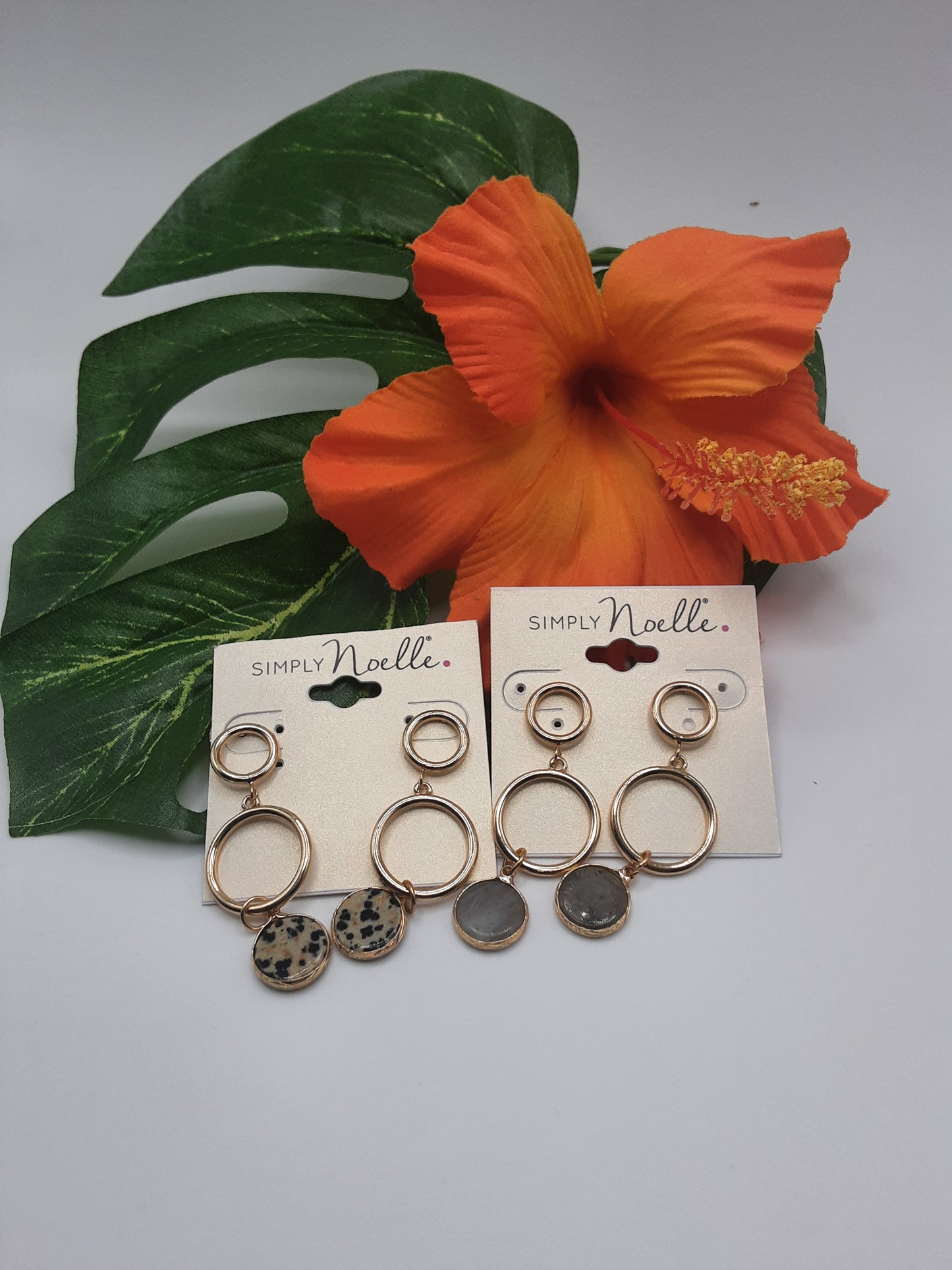 Two pairs of GANZ FEAR101 ASSORTED earrings by Ganz Inc are displayed against tropical leaves and an orange flower. One pair features animal print with circular details, while the other is gold with dark circular elements.